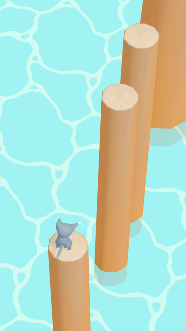 大长腿猫咪下载