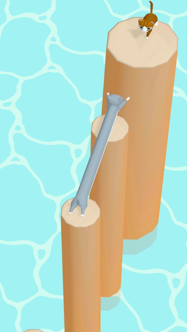 大长腿猫咪下载安装2024版本