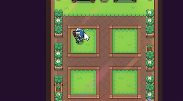 月光石岛种子怎么用 月光石岛播种方法