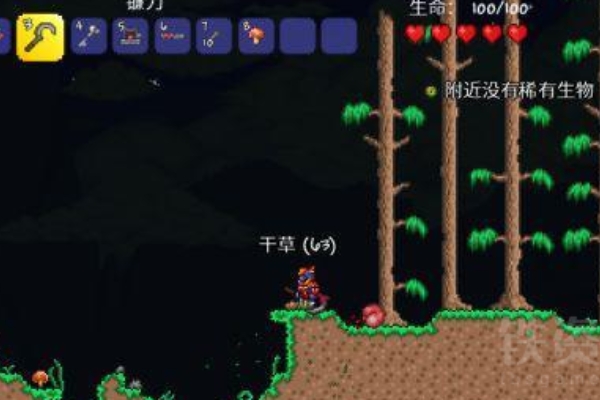 泰拉瑞亚木头人获得方法