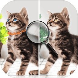 找不同大冒险免费版