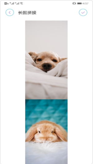拼长图大师手机版免费版下载