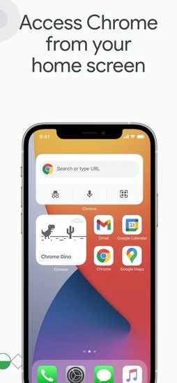 谷歌浏览器app最新版安卓app