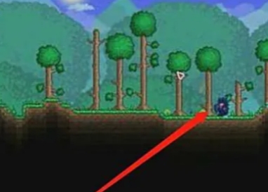 泰拉瑞亚石象刷怪地点的建法