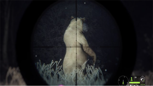 猎人荒野的呼唤最新2024安卓版