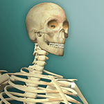 放置人类2安卓版下载安装