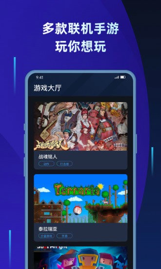 蒲公英联机平台2024版