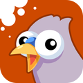 鸟儿便便下载免费版