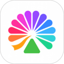 大麦app2024下载安卓