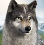 狼族崛起最新版安卓下载