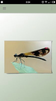 一幅相框最新安卓版本2024