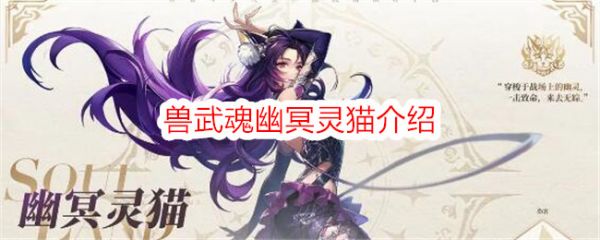 斗罗大陆史莱克学院兽武魂幽冥灵猫介绍