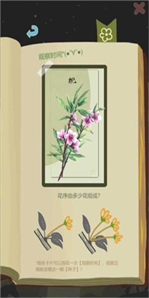 老农种树苹果版