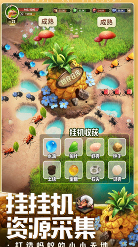 昆虫星球下载2024版本