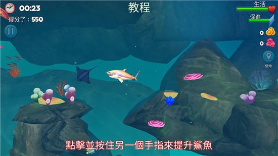 双头鲨游戏下载