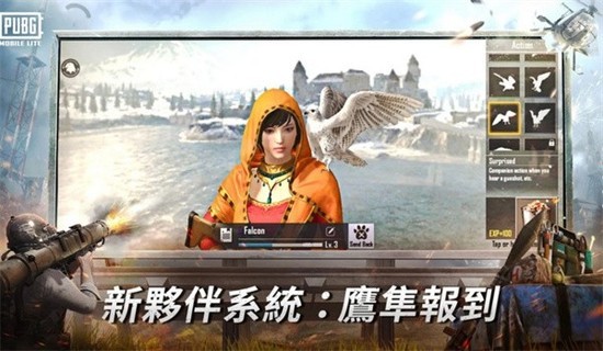 pubg轻量版下载