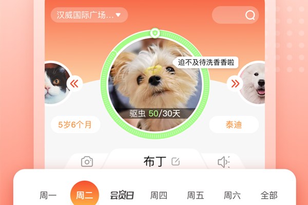 宠物家官方正版