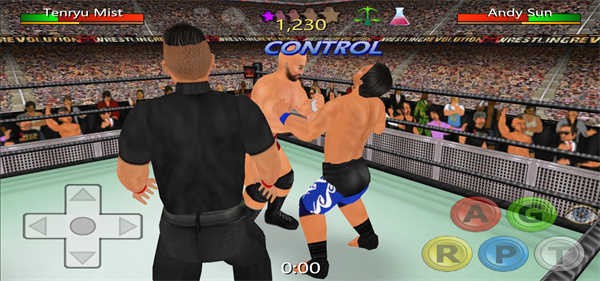 摔跤革命3d中文版下载安装