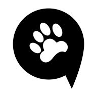 熊大叫车司机端免费下载