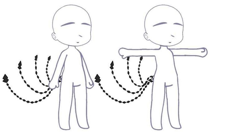 加查薰衣草官方正版