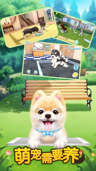 萌宠需要养2025安卓最新版