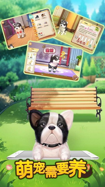 萌宠需要养2025安卓最新版