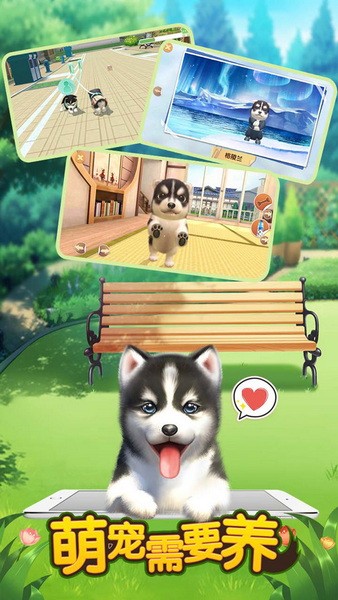 萌宠需要养2025安卓最新版