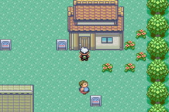 口袋妖怪绿宝石经典版免费版下载安装