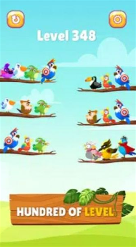 小鸟分类大师2024版本下载安装