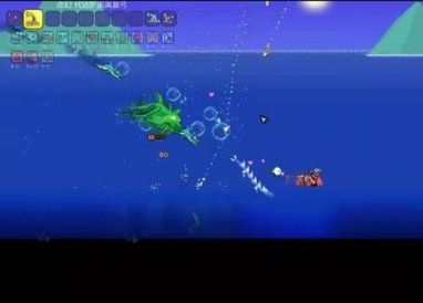 泰拉瑞亚打蜂王然后流程介绍