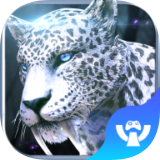 猎魔圣魂安卓app