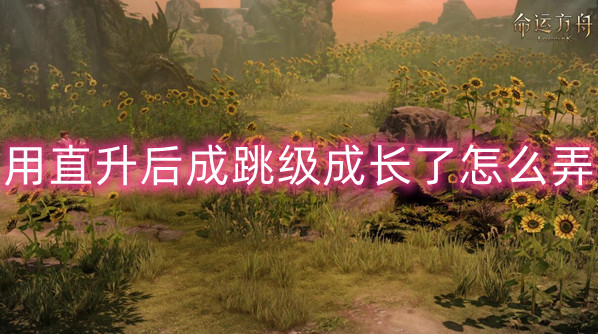 命运方舟用直升跳级成长方法介绍