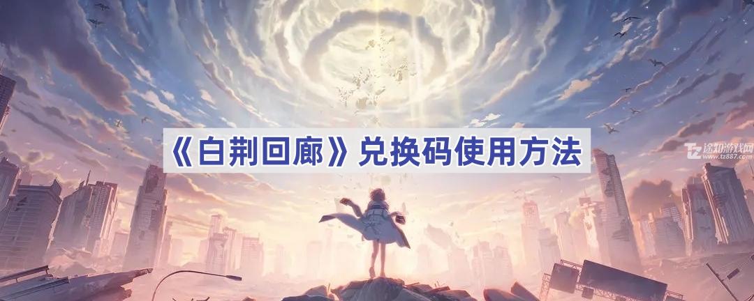 白荆回廊兑换码使用方法