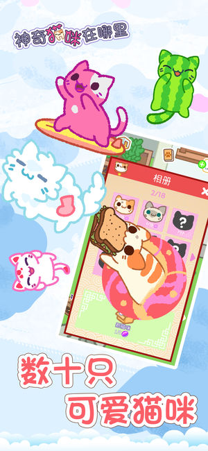 神奇猫咪在哪里