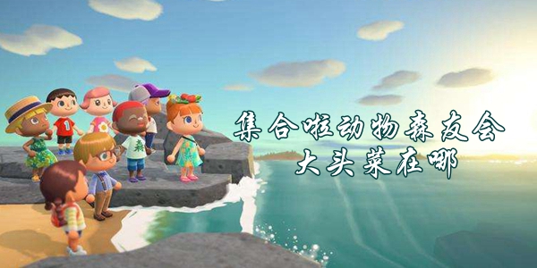 集合啦动物森友会大头菜商人位置介绍