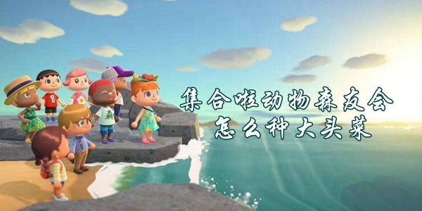 集合啦动物森友会大头菜种植方法介绍