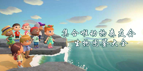 集合啦动物森友会生物图鉴大全