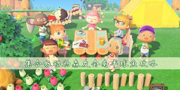 集合啦动物森友会南半球鱼攻略