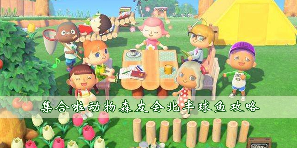 集合啦动物森友会北半球鱼攻略