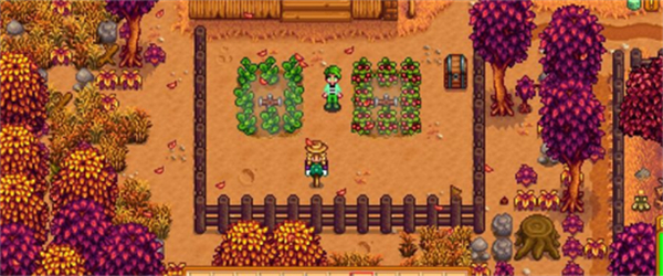 星露谷物语秋天种什么最值钱？星露谷物语秋天种植攻略