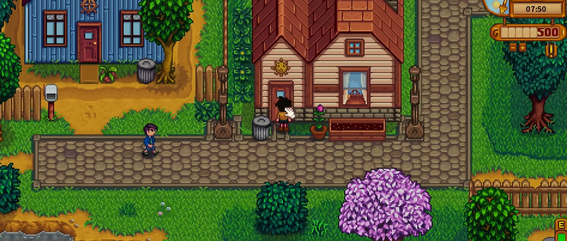 星露谷物语海莉怎么攻略