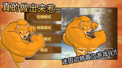 动物之斗最新安卓2026版